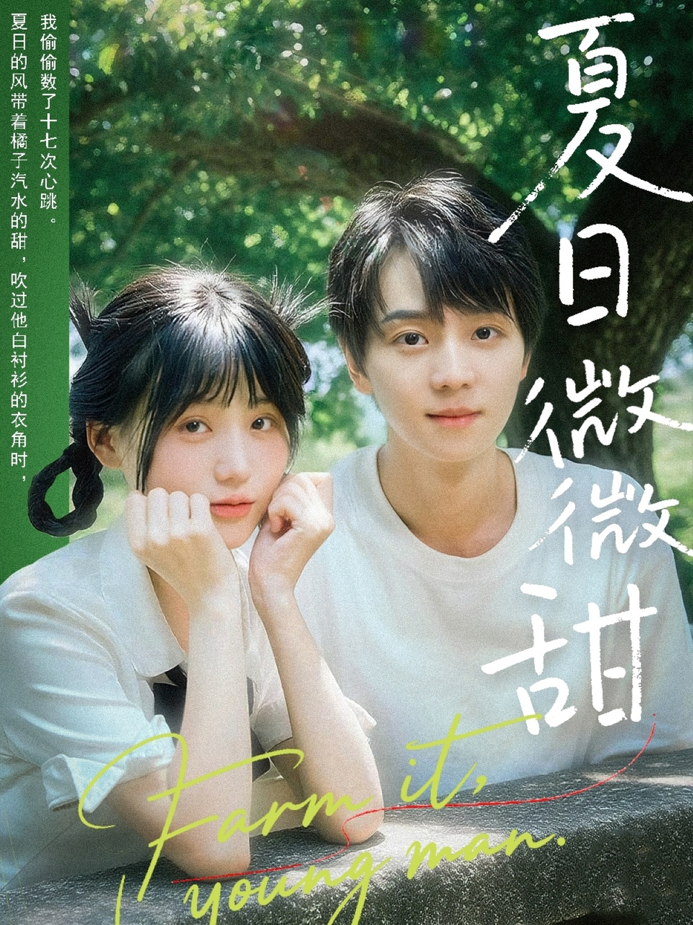 夏日微微甜(全集)