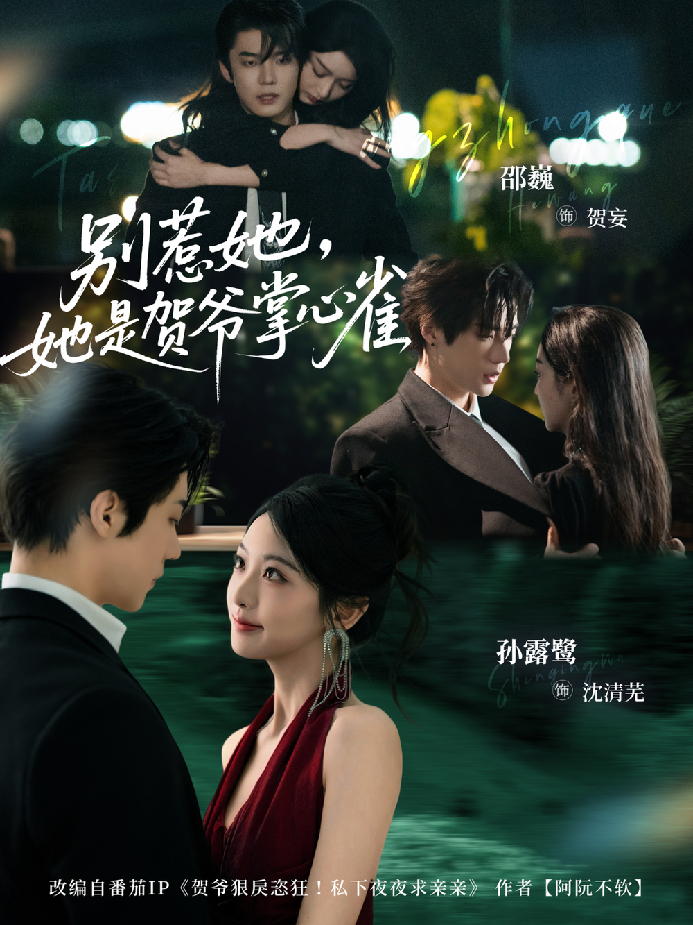 别惹她，她是贺爷掌心雀(全集)