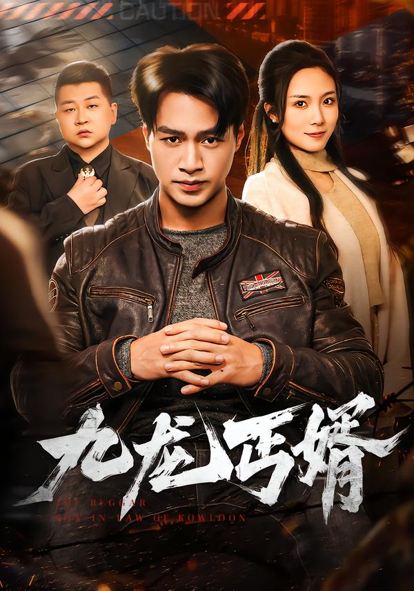 九龙丐婿(全集)