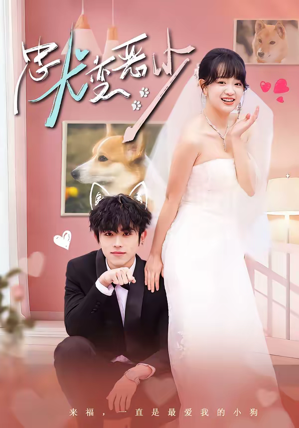 惊！我家来福变恶少了＆忠犬变恶少(全集)